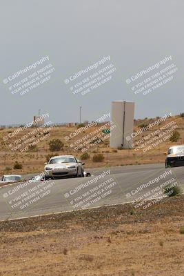 media/May-03-2025-Lucky Dog Racing (Sat) [[206de64b9d]]/Turn 6 (150pm-230pm)/